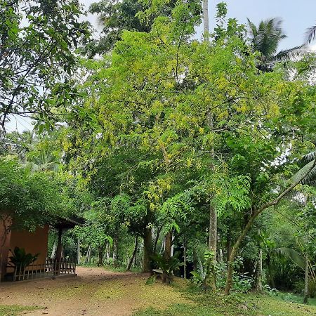 Nature'S Hideout Holiday Home Mirigama Exterior photo