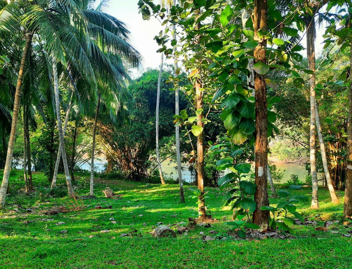 Nature'S Hideout Holiday Home Mirigama Exterior photo