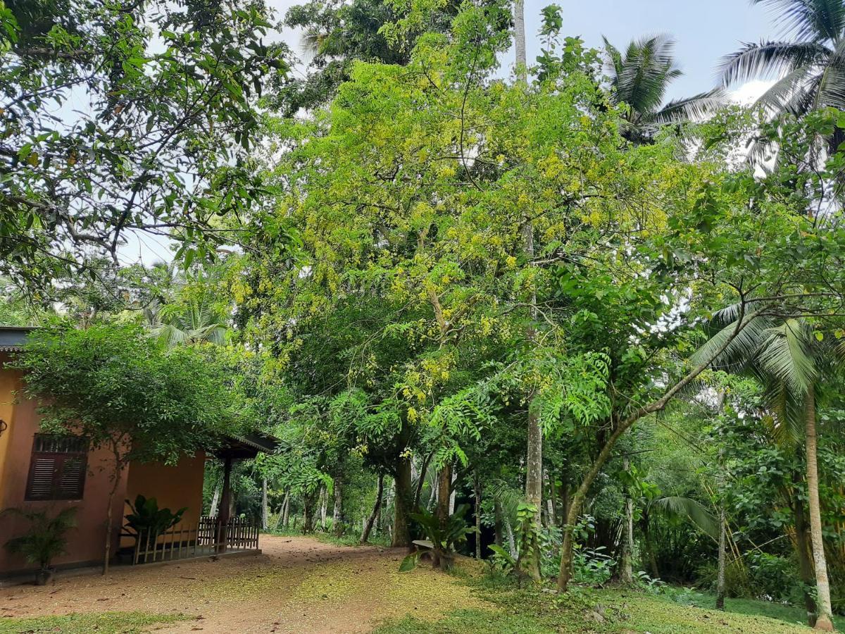 Nature'S Hideout Holiday Home Mirigama Exterior photo
