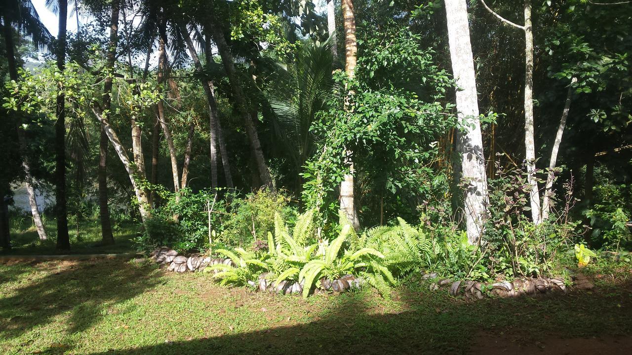 Nature'S Hideout Holiday Home Mirigama Exterior photo