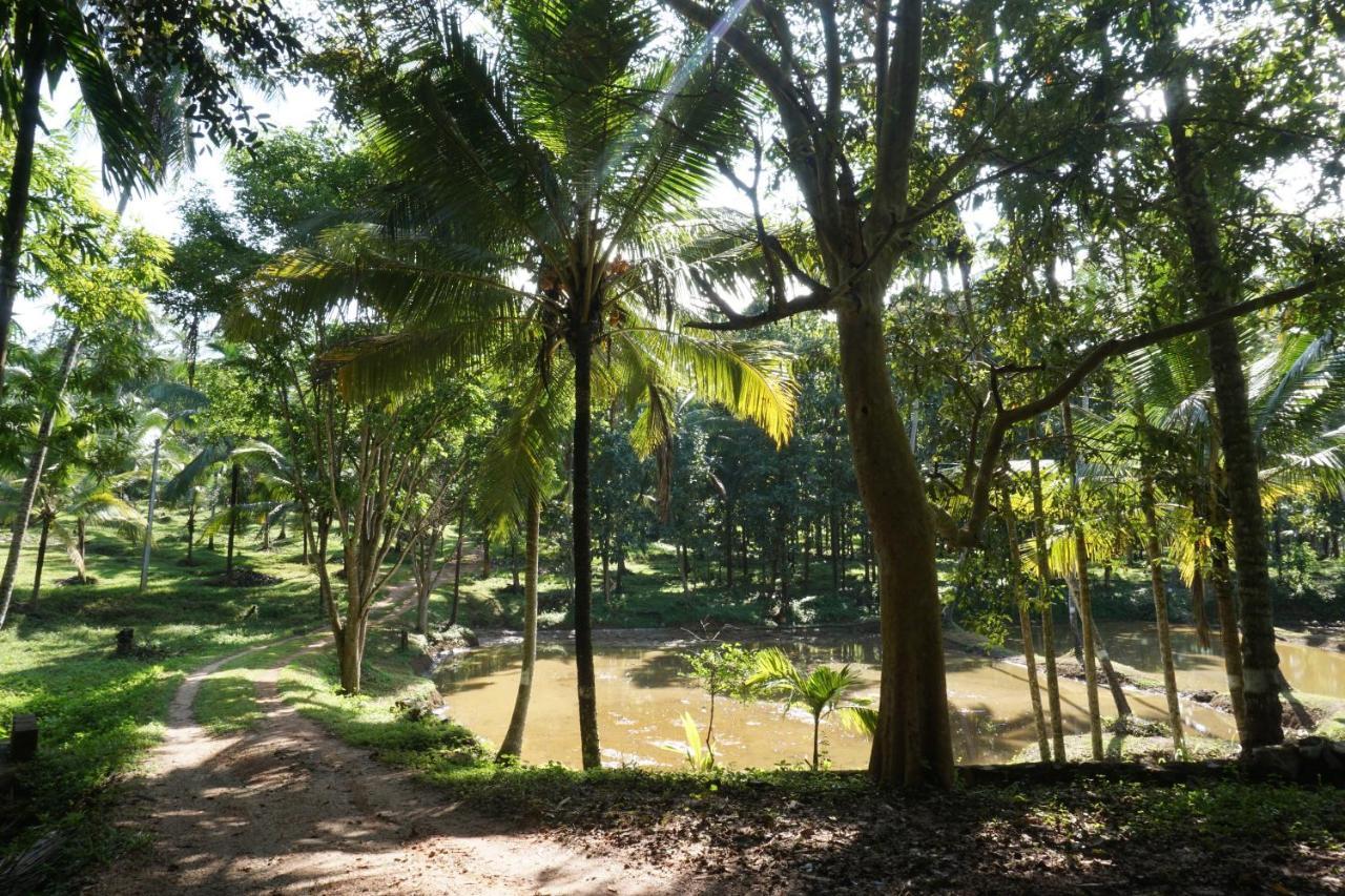 Nature'S Hideout Holiday Home Mirigama Exterior photo