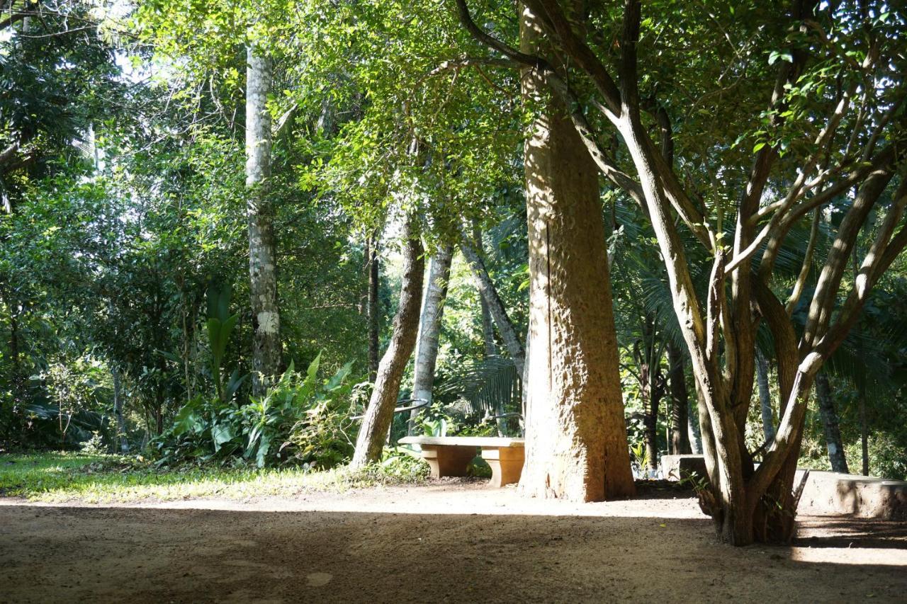 Nature'S Hideout Holiday Home Mirigama Exterior photo